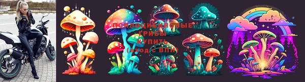 гидра Дмитровск