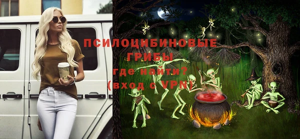 гидра Дмитровск