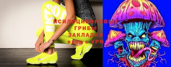 мяу мяу мука Дмитриев