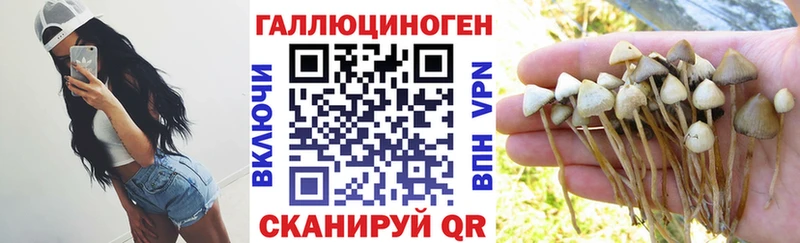 Псилоцибиновые грибы Psilocybine cubensis Купить Минеральные Воды
