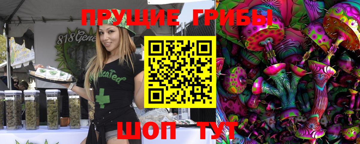 Псилоцибиновые грибы GOLDEN TEACHER Минеральные Воды