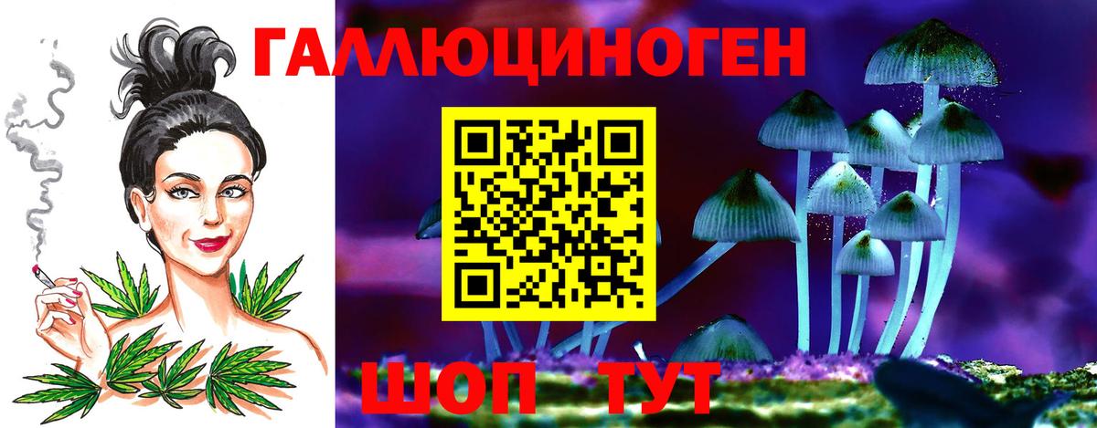 Галлюциногенные грибы ЛСД  Минеральные Воды  Галлюциногенные грибы Psilocybe 