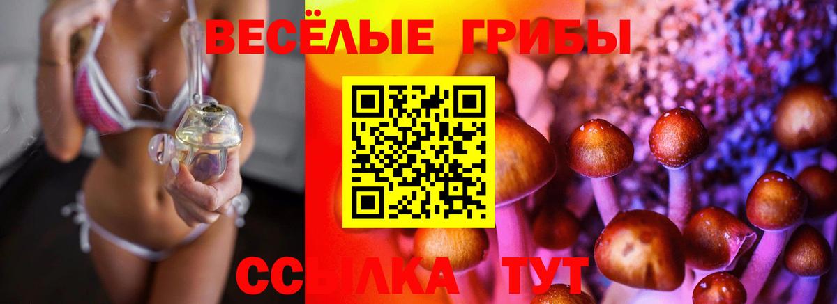 Минеральные Воды  Псилоцибиновые грибы мицелий  Вход с VPN 
